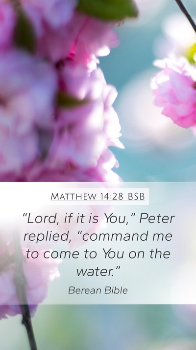 Matthew 14:28 BSB Bible Verse Image