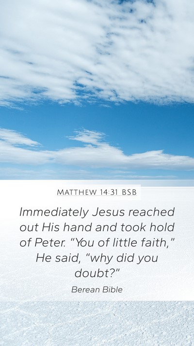 Matthew 14:31 BSB Bible Verse Image