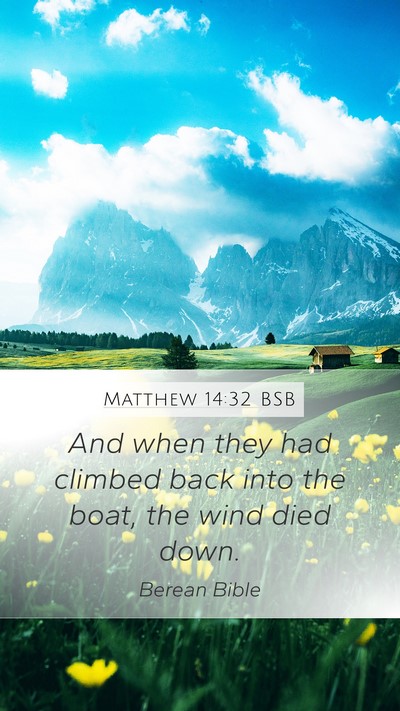 Matthew 14:32 BSB Mobile Phone Wallpaper - And when they had climbed back into the boat, the - Mobile Bible Verse Wallpaper