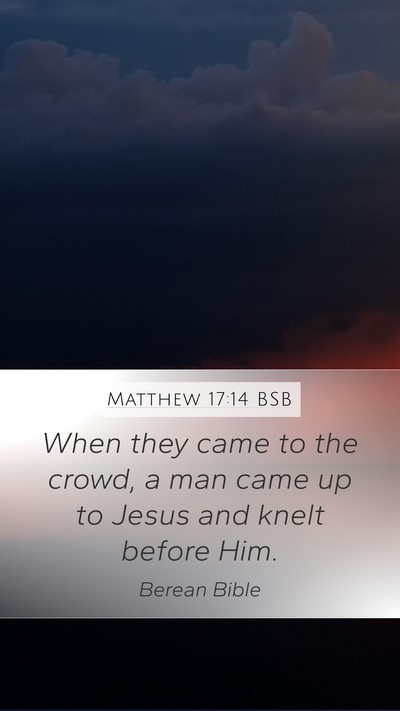Matthew 17:14 BSB Bible Verse Image