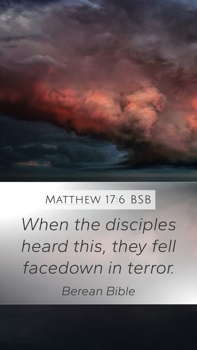 Matthew 17:6 BSB Bible Verse Image