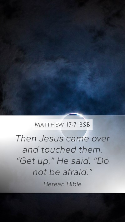 Matthew 17:7 BSB Bible Verse Image