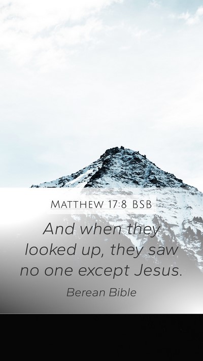 Matthew 17:8 BSB Mobile Phone Wallpaper - And when they looked up, they saw no one except - Mobile Bible Verse Wallpaper