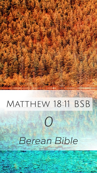 Matthew 18:11 BSB Mobile Phone Wallpaper -  - Mobile Bible Verse Wallpaper