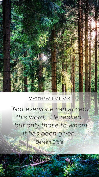 Matthew 19:11 BSB Mobile Phone Wallpaper - “Not everyone can accept this word,” He - Mobile Bible Verse Wallpaper
