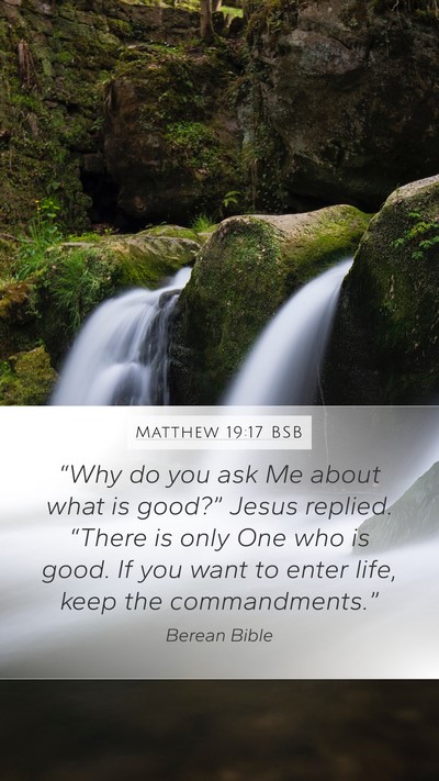 Matthew 19:17 BSB Bible Verse Image
