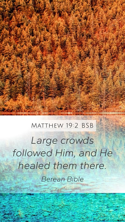 Matthew 19:2 BSB Bible Verse Image