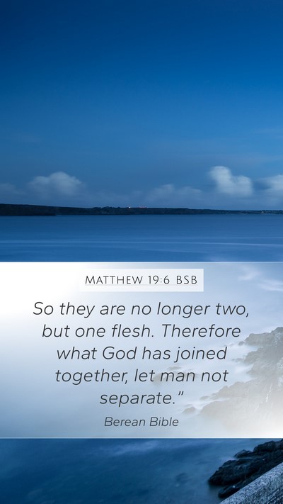 Matthew 19:6 BSB Mobile Phone Wallpaper - So they are no longer two, but one flesh. - Mobile Bible Verse Wallpaper