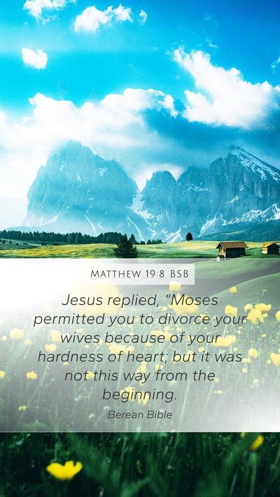 Matthew 19:8 BSB Bible Verse Image