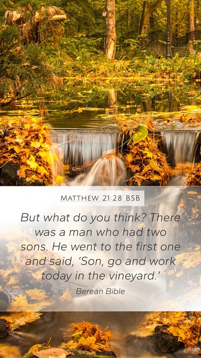 Matthew 21:28 BSB Bible Verse Image