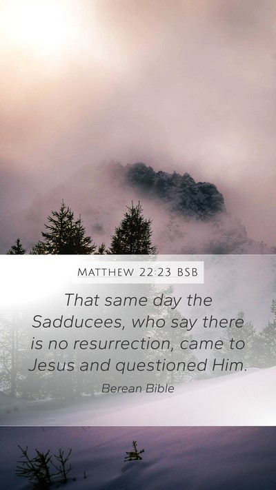 Matthew 22:23 BSB Bible Verse Image