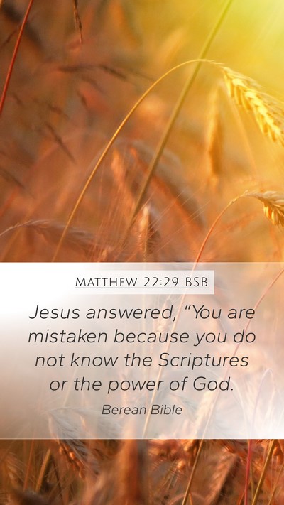 Matthew 22:29 BSB Bible Verse Image