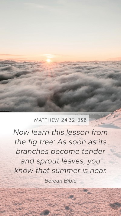 Matthew 24:32 BSB Bible Verse Image