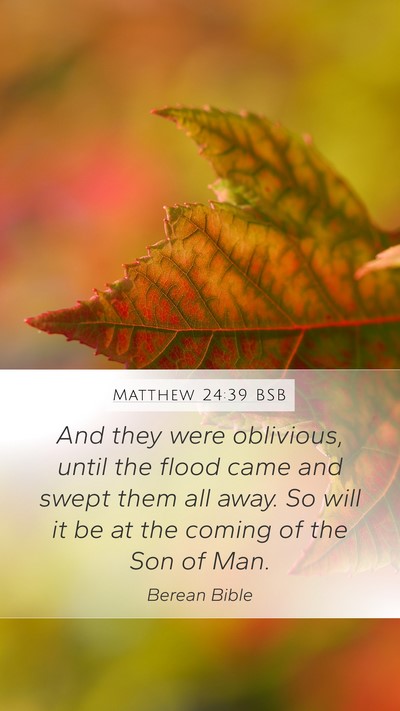 Matthew 24:39 BSB Bible Verse Image