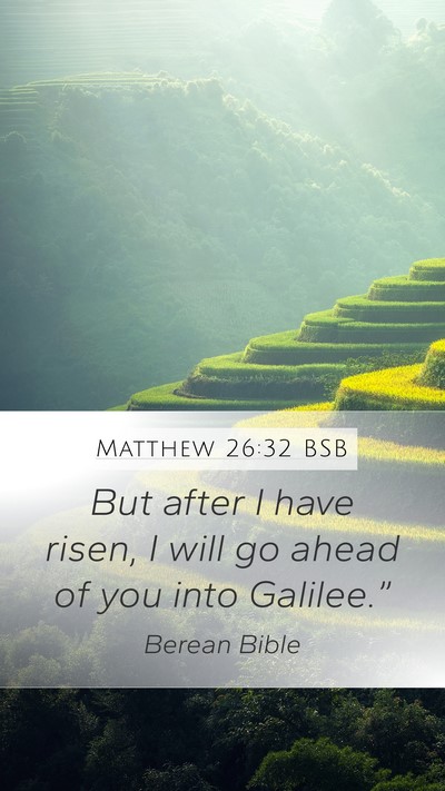 Matthew 26:32 BSB Bible Verse Image