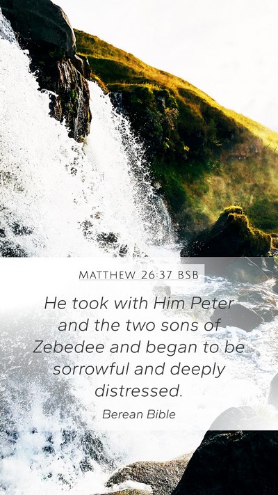 Matthew 26:37 BSB Bible Verse Image