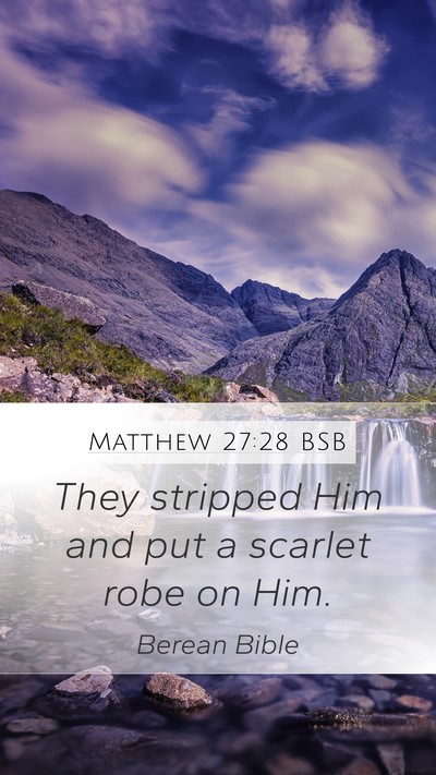 Matthew 27:28 BSB Bible Verse Image
