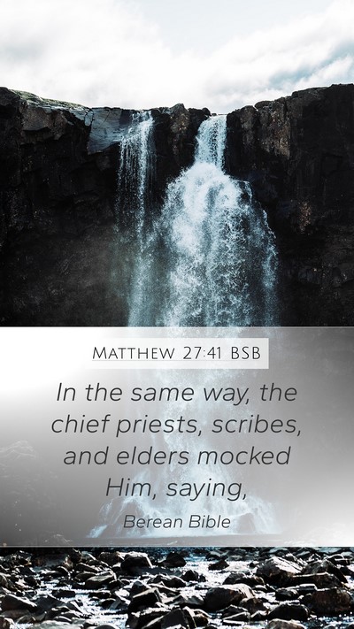Matthew 27:41 BSB Bible Verse Image