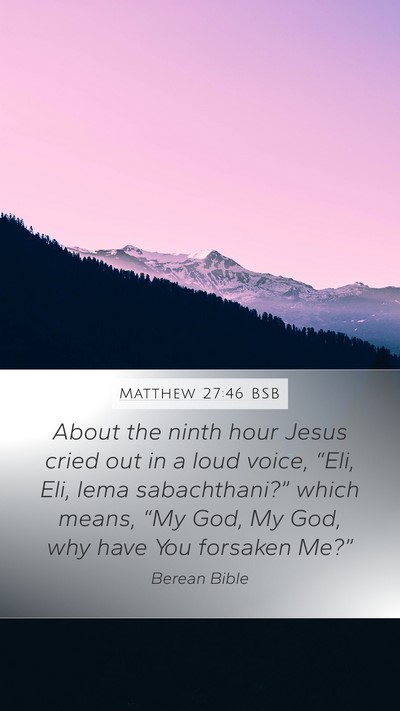 Matthew 27:46 BSB Bible Verse Image