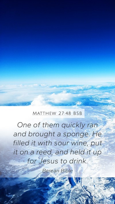 Matthew 27:48 BSB Bible Verse Image