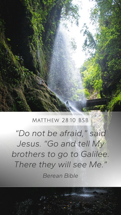 Matthew 28:10 BSB Bible Verse Image