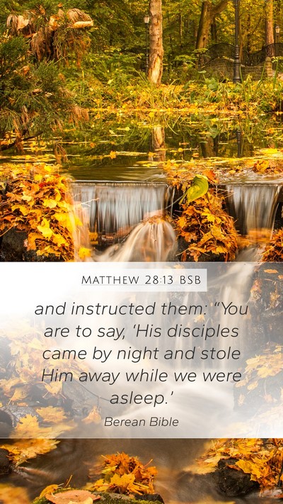 Matthew 28:13 BSB Bible Verse Image