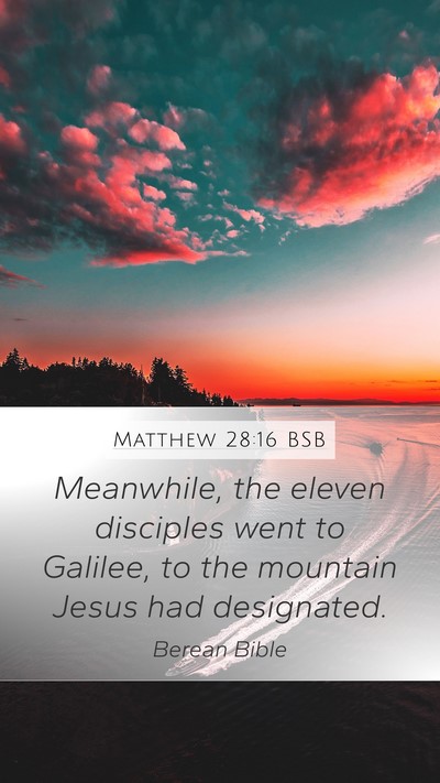 Matthew 28:16 BSB Bible Verse Image