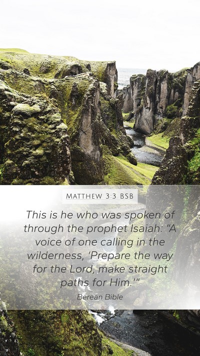 Matthew 3:3 BSB Bible Verse Image