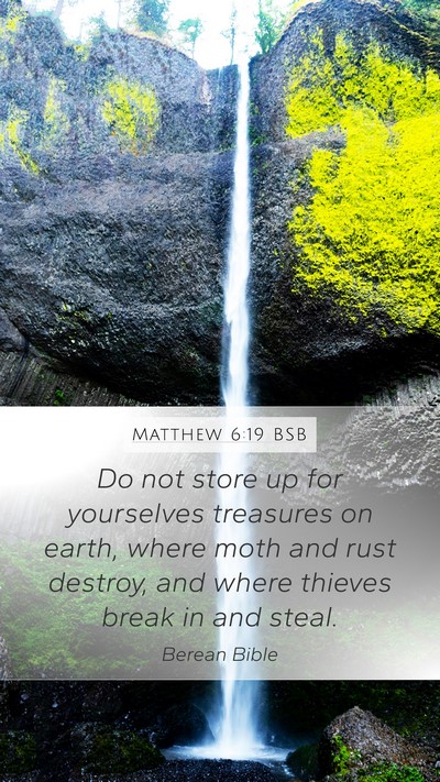 Matthew 6:19 BSB Bible Verse Image