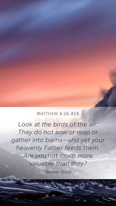 Matthew 6:26 BSB Bible Verse Image