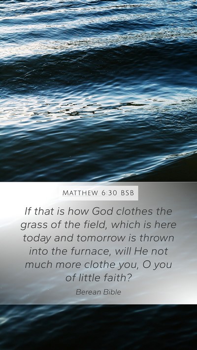Matthew 6:30 BSB Bible Verse Image