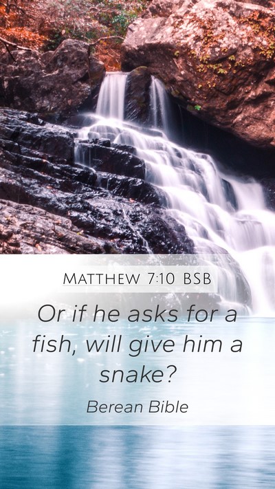 Matthew 7:10 BSB Mobile Phone Wallpaper - Or if he asks for a fish, will give him a - Mobile Bible Verse Wallpaper