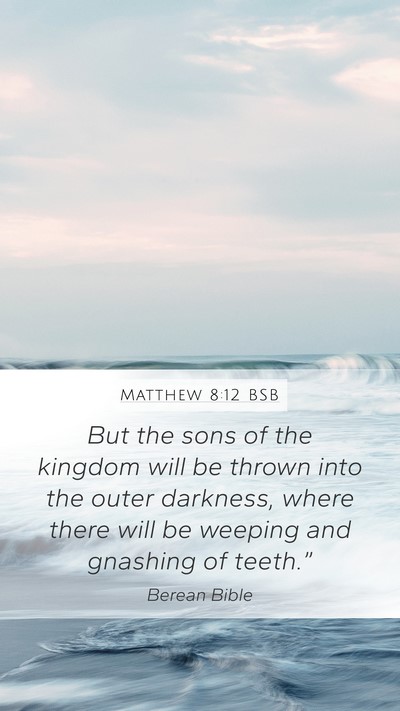 Matthew 8:12 BSB Bible Verse Image