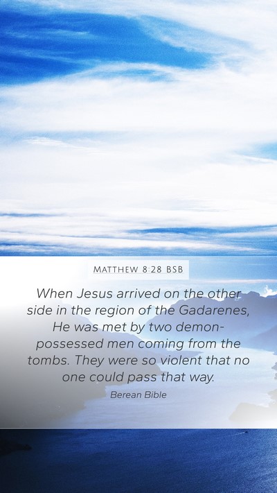 Matthew 8:28 BSB Bible Verse Image