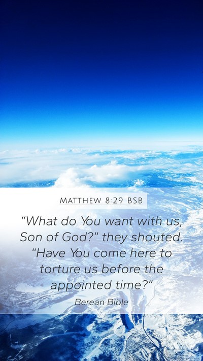 Matthew 8:29 BSB Bible Verse Image