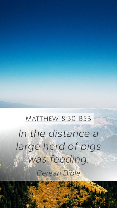 Matthew 8:30 BSB Bible Verse Image