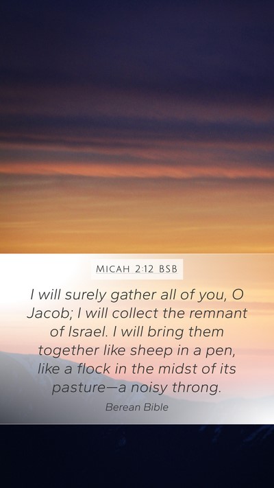 Micah 2:12 BSB Bible Verse Image