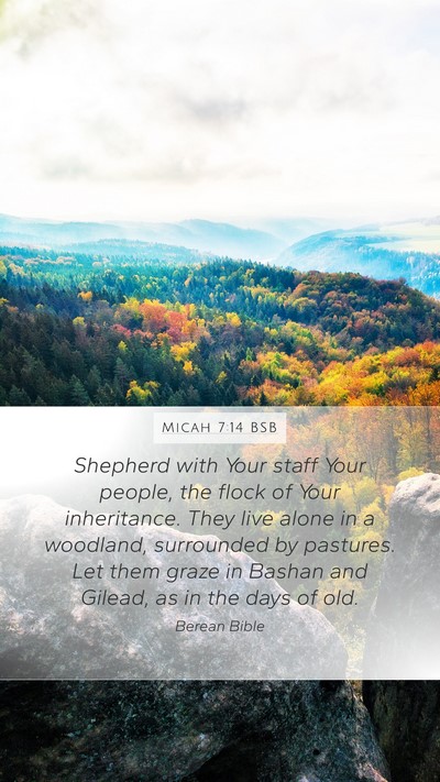 Micah 7:14 BSB Bible Verse Image