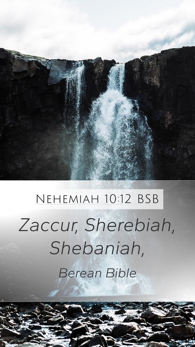 Nehemiah 10:12 BSB Bible Verse Image