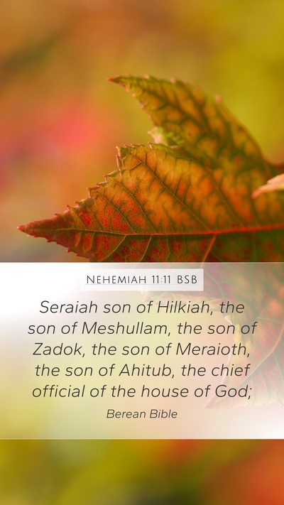 Nehemiah 11:11 BSB Bible Verse Image