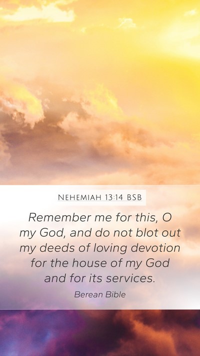 Nehemiah 13:14 BSB Bible Verse Image