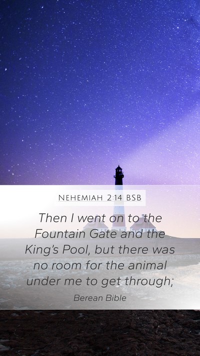 Nehemiah 2:14 BSB Bible Verse Image