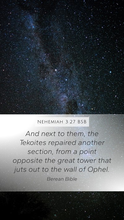 Nehemiah 3:27 BSB Bible Verse Image
