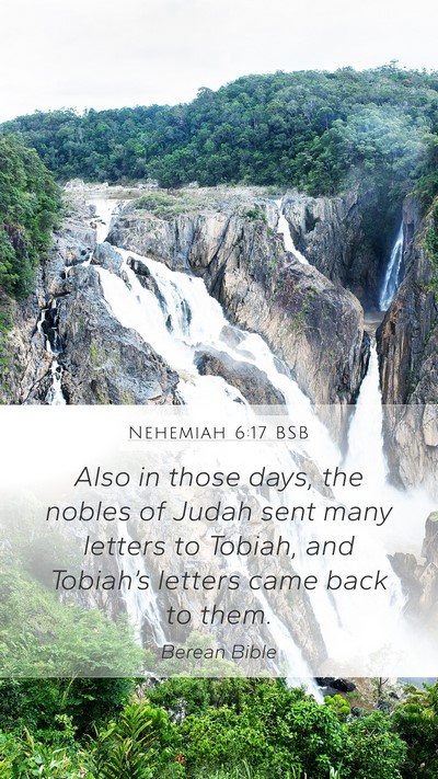 Nehemiah 6:17 BSB Bible Verse Image