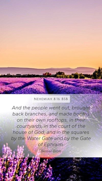 Nehemiah 8:16 BSB Bible Verse Image