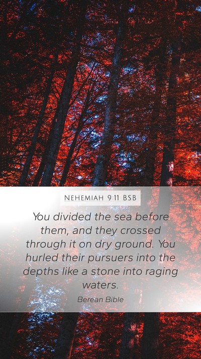 Nehemiah 9:11 BSB Bible Verse Image