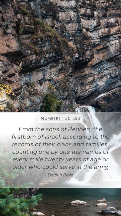 Numbers 1:20 BSB Bible Verse Image