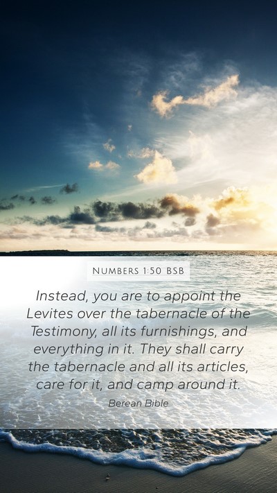 Numbers 1:50 BSB Bible Verse Image