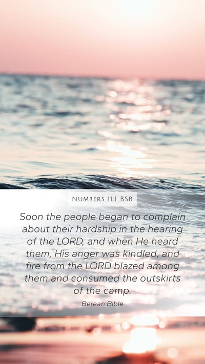 Numbers 11:1 BSB Bible Verse Image