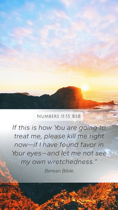 Numbers 11:15 BSB Bible Verse Image